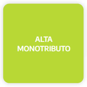 Alta Monotributo